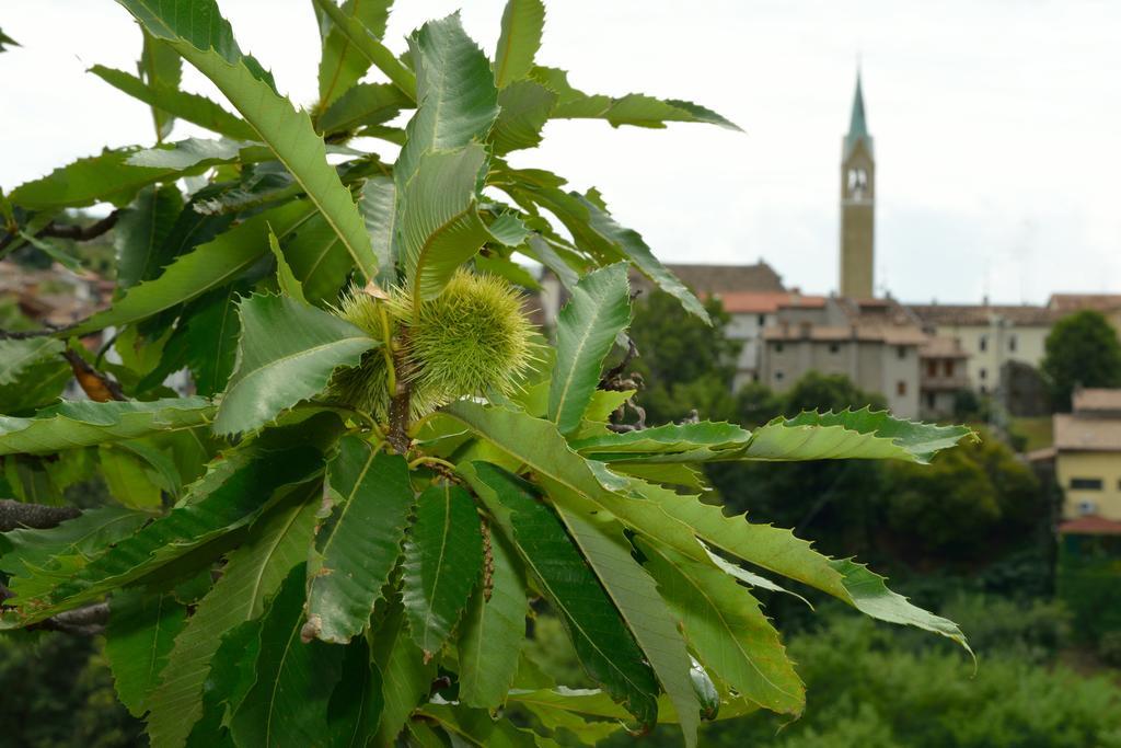 Agriturismo Crodi 미아네 외부 사진